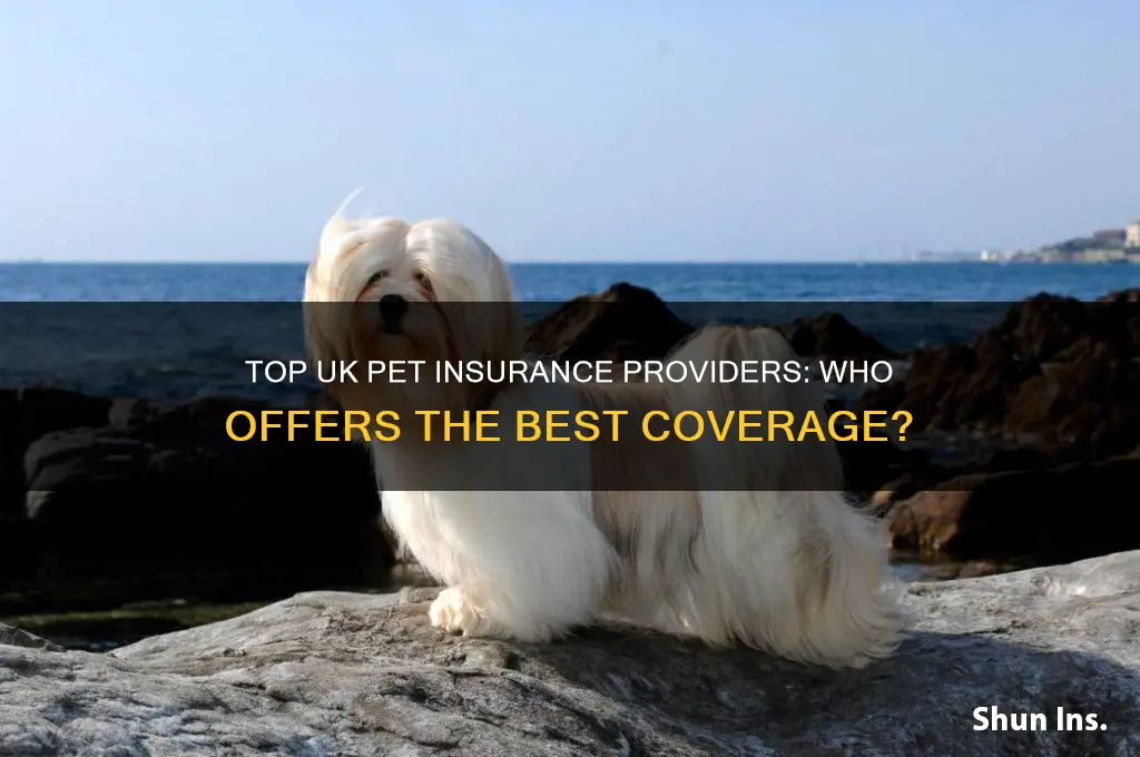 who is the best pet insurance company uk
