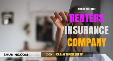 Top Renters Insurance Companies: Who Offers the Best Coverage?