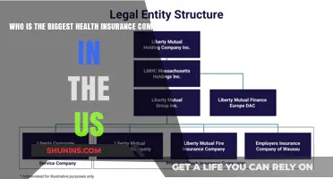 Discovering America's Largest Health Insurance Provider: A Comprehensive Overview