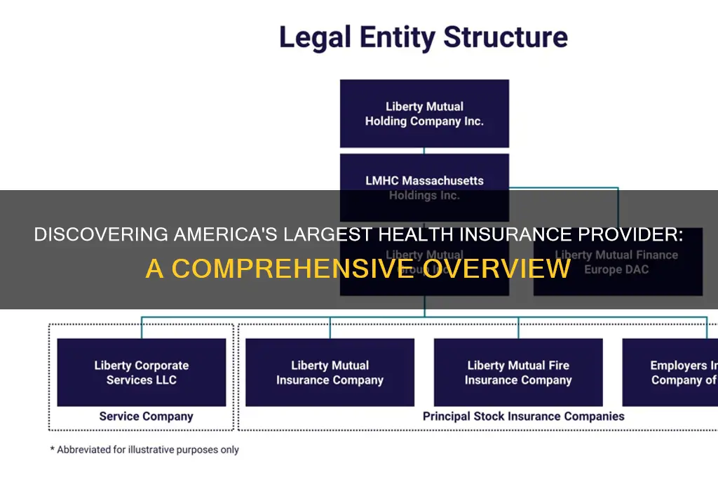 who is the biggest health insurance company in the us