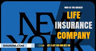 Discovering the Largest Life Insurance Provider: A Comprehensive Analysis