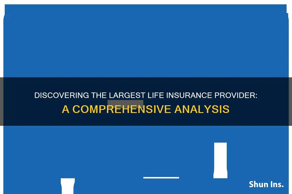 who is the biggest life insurance company