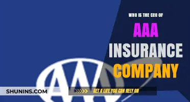 Meet the CEO Leading AAA Insurance Company Today