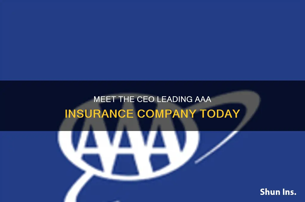 who is the ceo of aaa insurance company