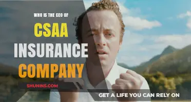 Meet the CEO of CSAA Insurance Group: Leadership and Vision