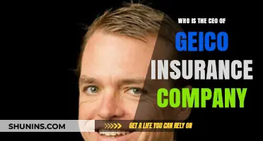 Meet the CEO Leading GEICO Insurance Company Today