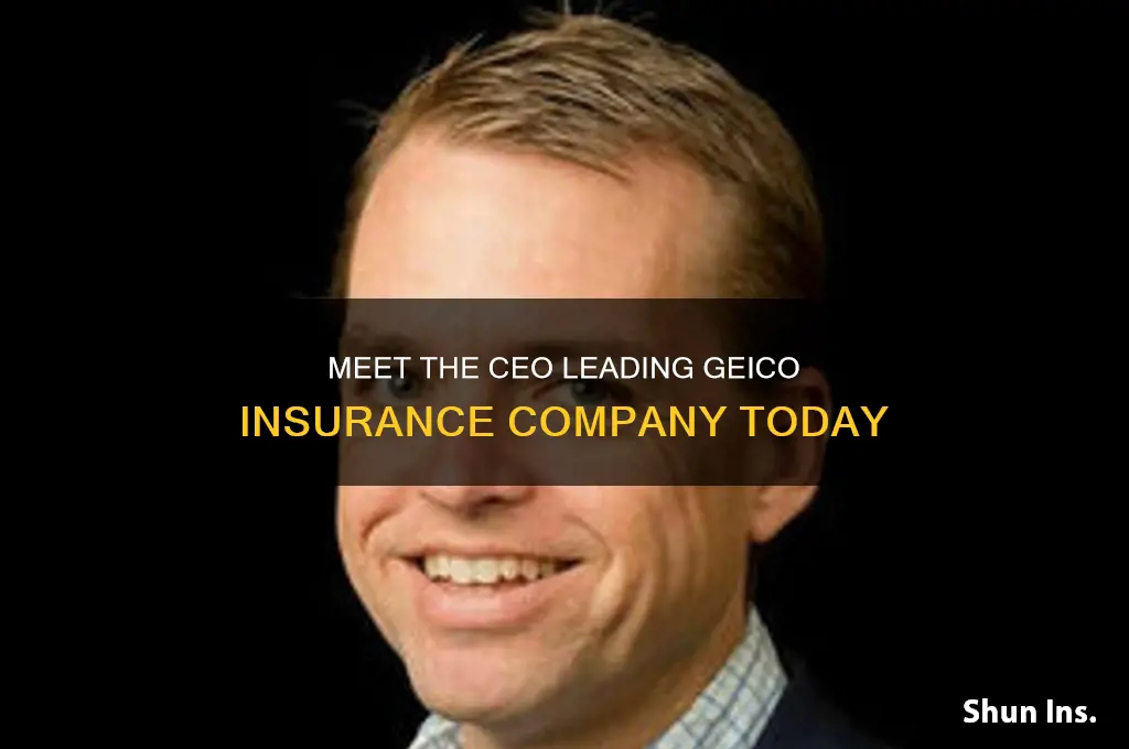 who is the ceo of geico insurance company