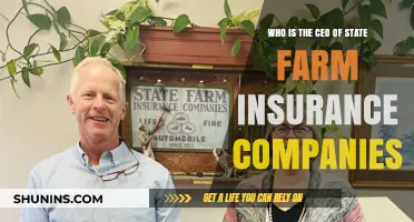Meet the CEO Leading State Farm Insurance Companies Today