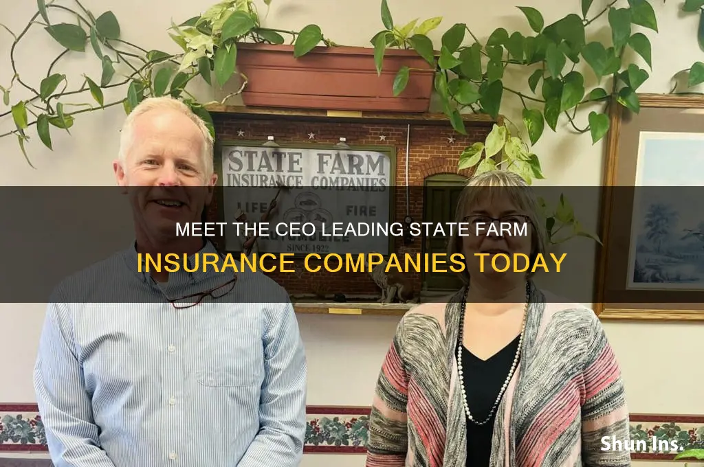 who is the ceo of state farm insurance companies