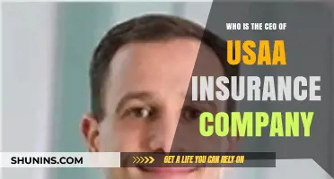 Who Leads USAA Insurance? Meet the Current CEO and Visionary