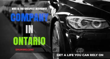 Discover Ontario's Most Affordable Car Insurance Providers: A Comprehensive Guide