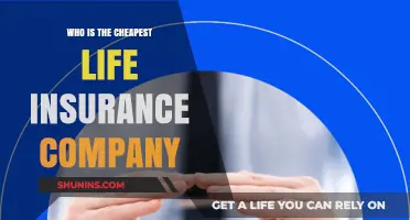 Discover the Most Affordable Life Insurance Providers in 2023
