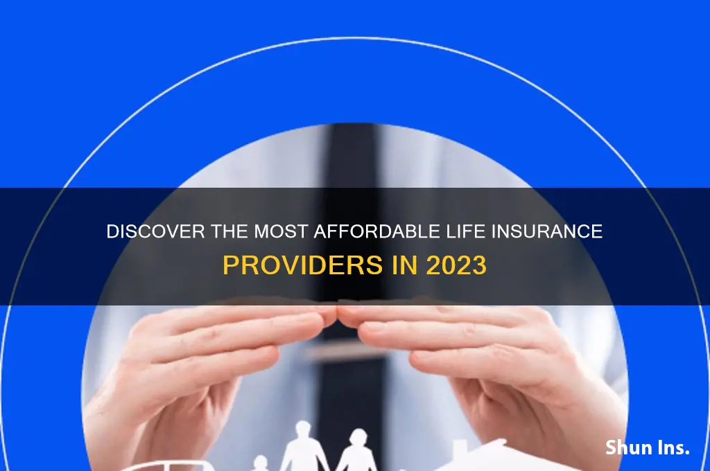 who is the cheapest life insurance company