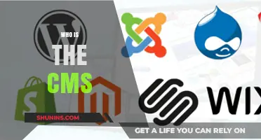 CMS: The Content Management System Explained