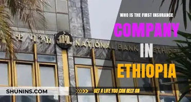 Ethiopia's Insurance Pioneer: Unveiling the Nation's First Provider