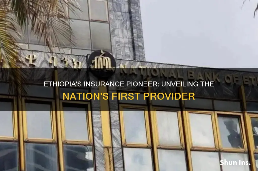 who is the first insurance company in ethiopia