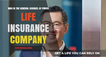Meet the General Counsel Leading Pruco Life Insurance Company