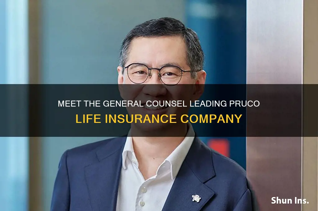 who is the general counsel of pruco life insurance company