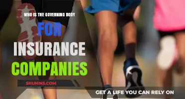 Understanding the Governing Body for Insurance Companies: Roles and Responsibilities