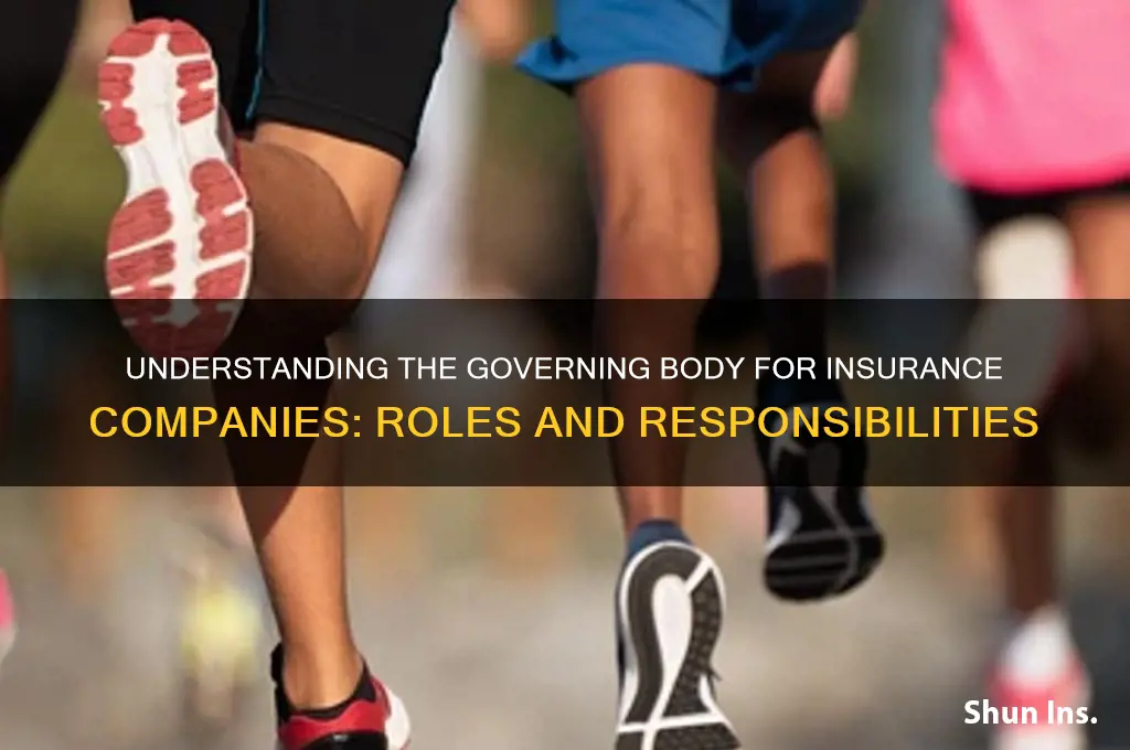 who is the governing body for insurance companies