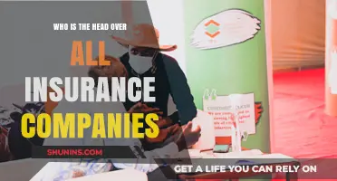 Who Oversees All Insurance Companies? Understanding Regulatory Authority