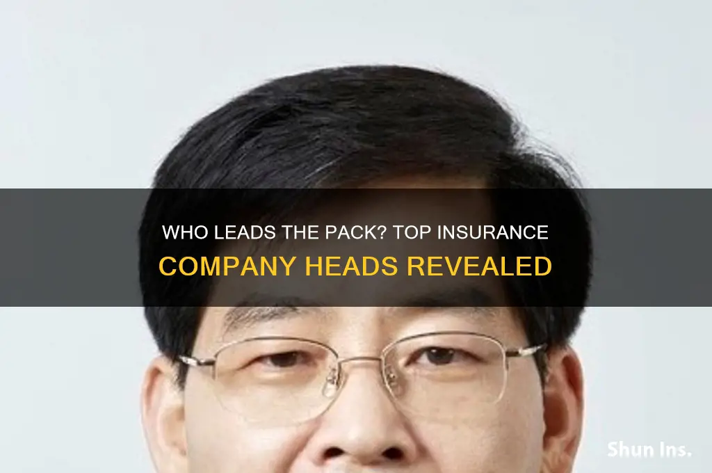 who is the head overall insurance companies
