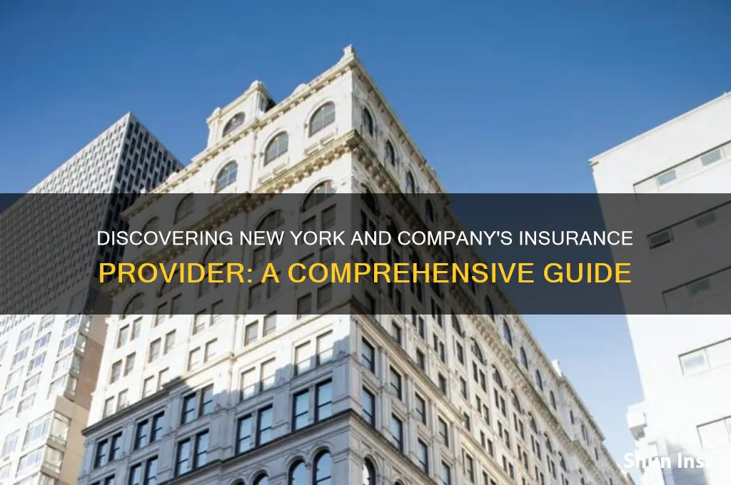 who is the insurance provider for new york and company