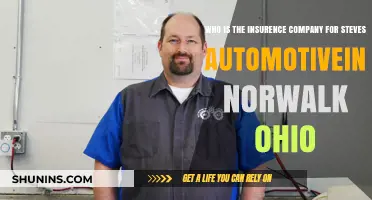 Discovering Steve's Automotive Insurance Provider in Norwalk, Ohio