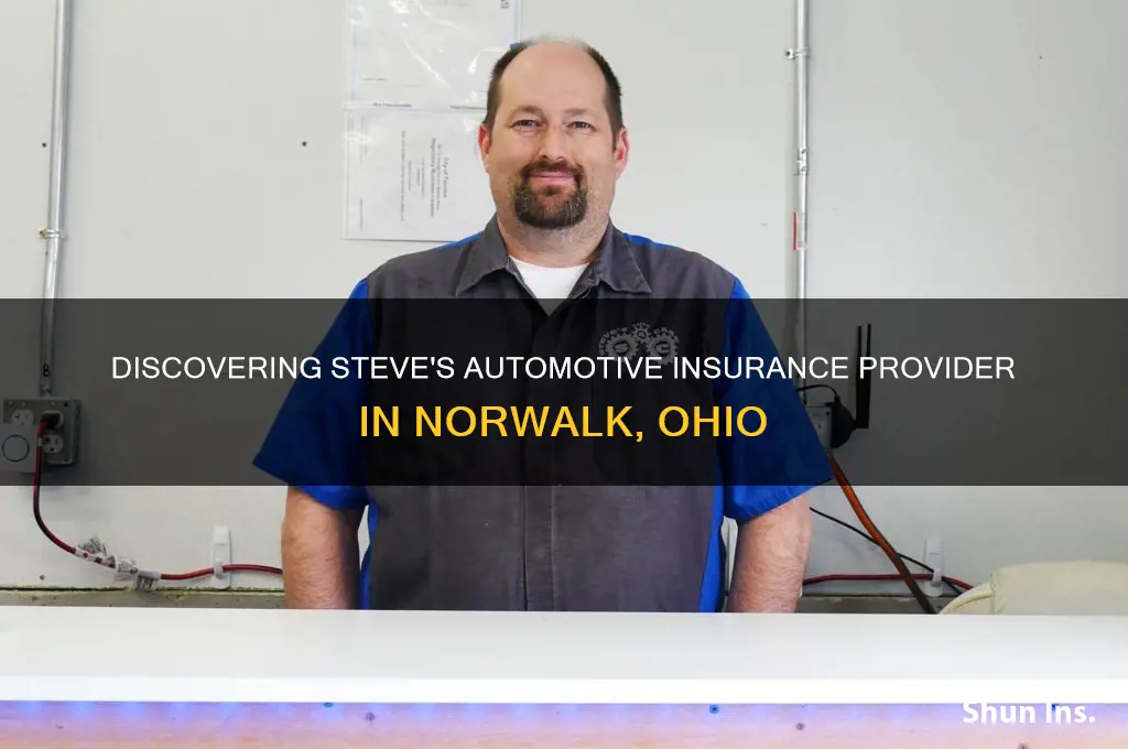 who is the insurence company for steves automotivein norwalk ohio
