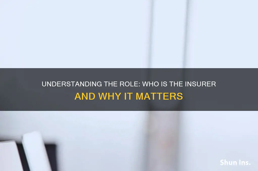 who is the insurer