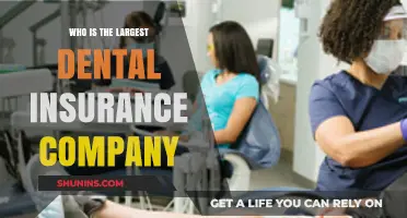 Discovering the Leading Dental Insurance Provider in the Market