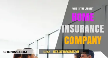 Discovering the Top Home Insurance Provider: Who Leads the Market?