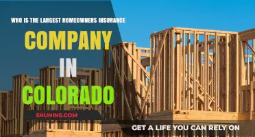 Colorado's Top Homeowners Insurance Provider: Who Leads the Market?