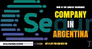 Argentina's Insurance Giant: Unveiling the Country's Largest Provider