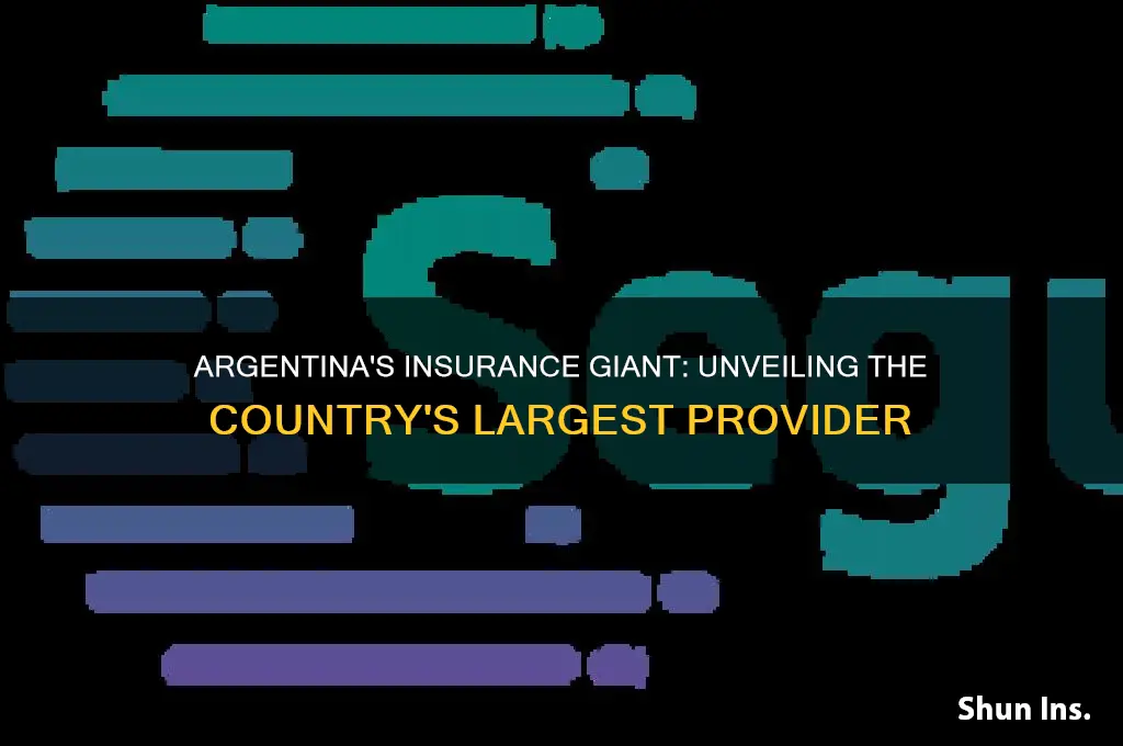 who is the largest insurance company in argentina
