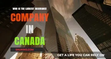 Discovering Canada's Top Insurance Giant: Who Leads the Market?