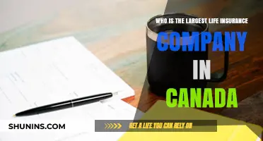 Canada's Top Life Insurance Provider: Unveiling the Largest Company