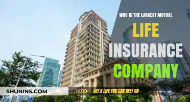 Discovering the Leading Mutual Life Insurance Giant: Who Tops the List?