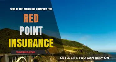 Who Manages Red Point Insurance? Unveiling the Company Behind the Brand