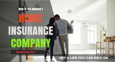 Top Home Insurance Providers: Who Ranks as the Best?