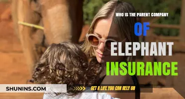 Unveiling Elephant Insurance's Parent Company: A Comprehensive Ownership Guide