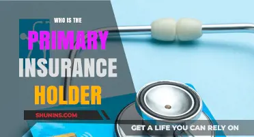 Understanding Primary Insurance Holder Responsibilities and Rights in Policies