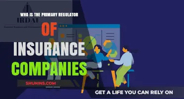 Understanding the Primary Regulator of Insurance Companies: Key Oversight Authority