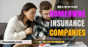 Top Homeowner Insurance Companies: 10 Best Providers to Consider