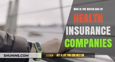 Who Monitors Health Insurance Companies? Unveiling the Watchdog Role