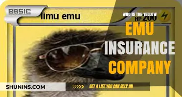 Who is the Yellow Emu Insurance Company? A Detailed Overview