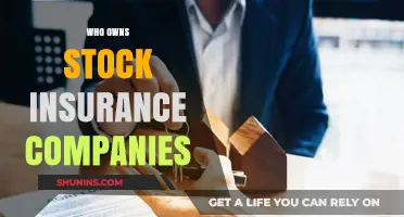 Unveiling Ownership: Who Controls Stock Insurance Companies and Why It Matters