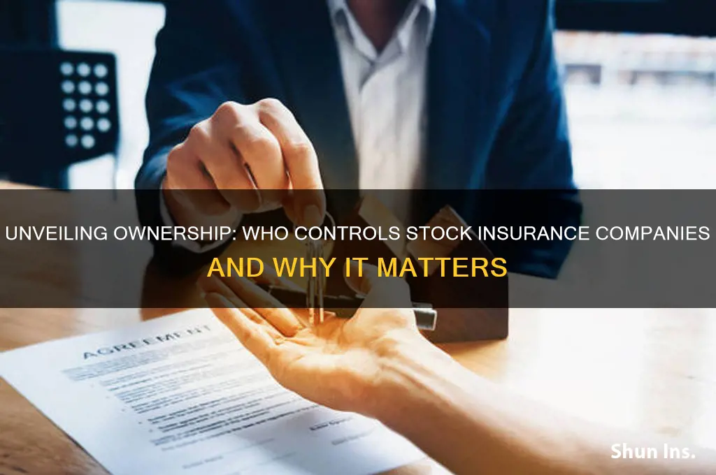 who owns stock insurance companies