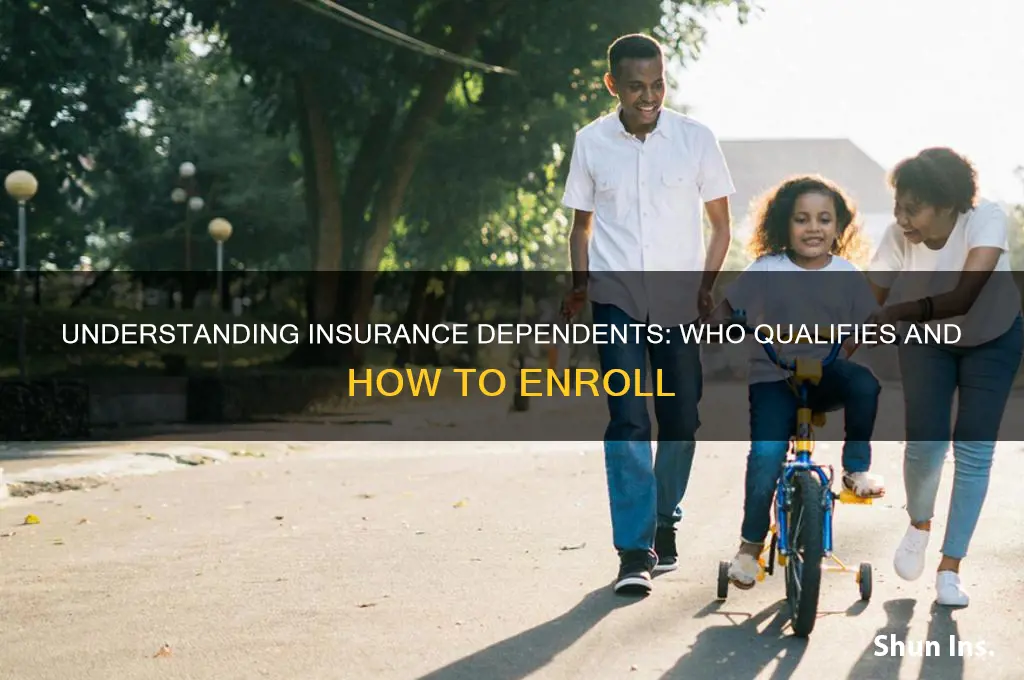 who qualifies as a dependent for insurance