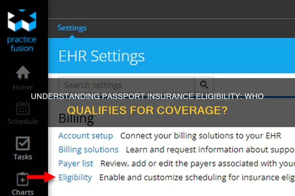 who qualifies for passport insurance